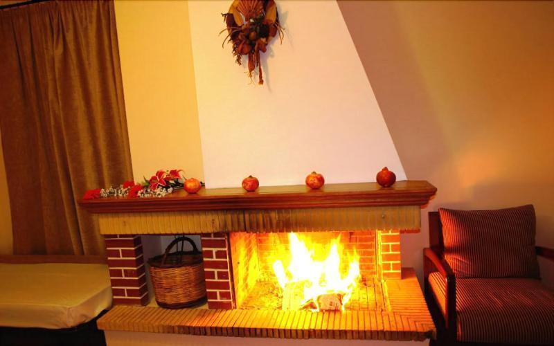 Xenonas Chrisso Otel Delphi Dış mekan fotoğraf