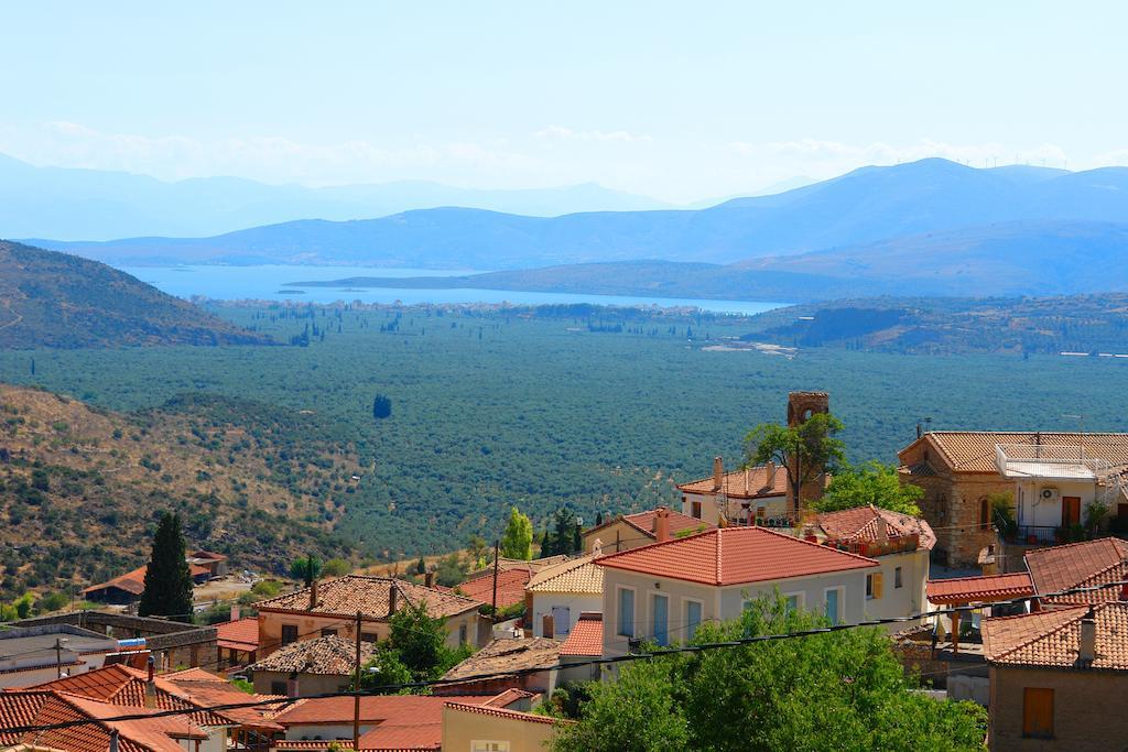 Xenonas Chrisso Otel Delphi Dış mekan fotoğraf