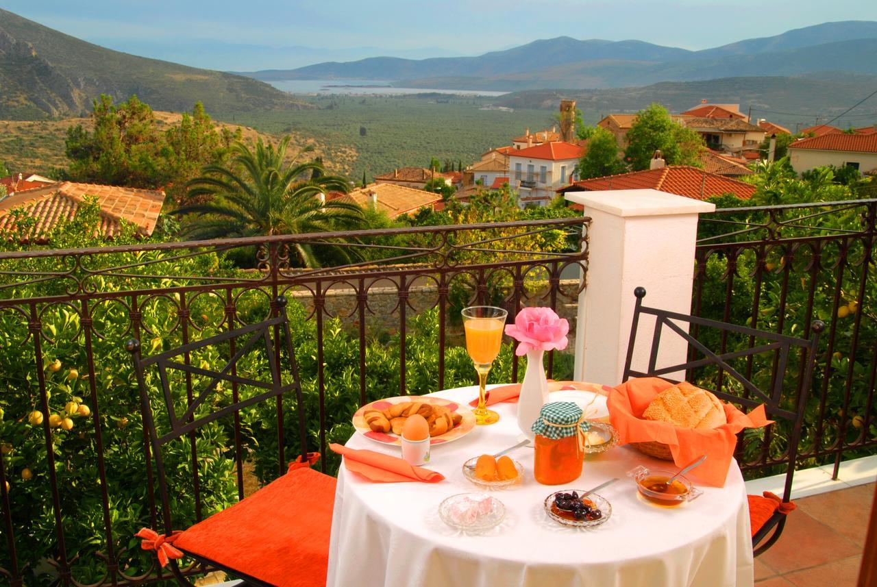 Xenonas Chrisso Otel Delphi Dış mekan fotoğraf